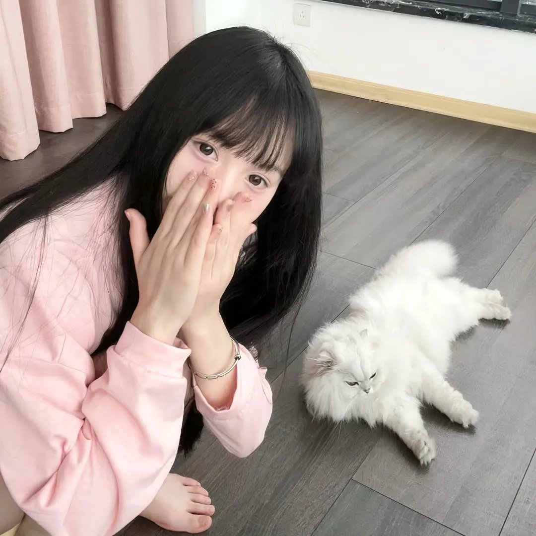 小鸡